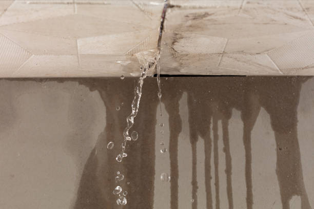 Professional Structural Drying technician working in Saint Clair, MI